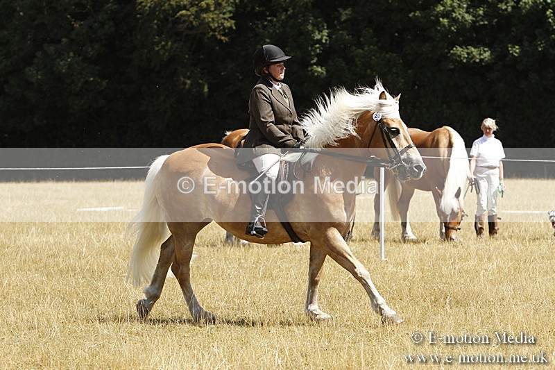 _BS_0810 - BVRC Show 2018 Ring 1