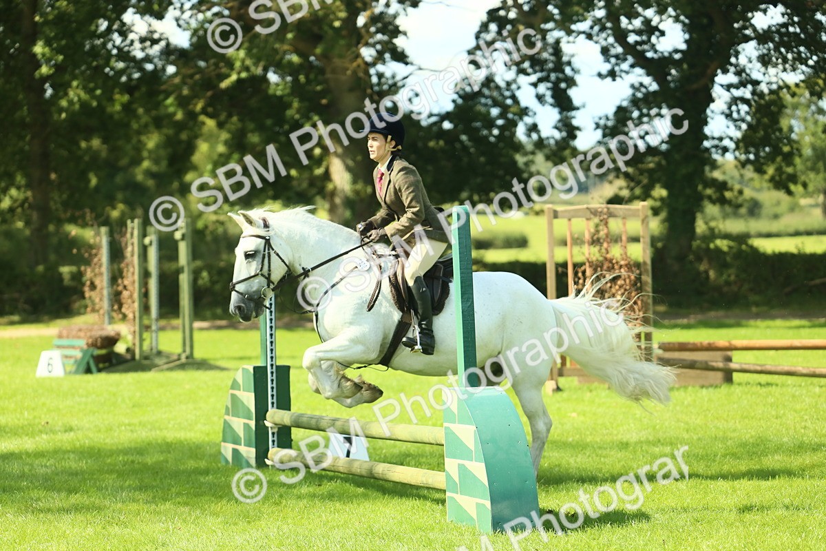 SBM_41993 - S29 - Novice & Newcomers Working Hunter Pony
