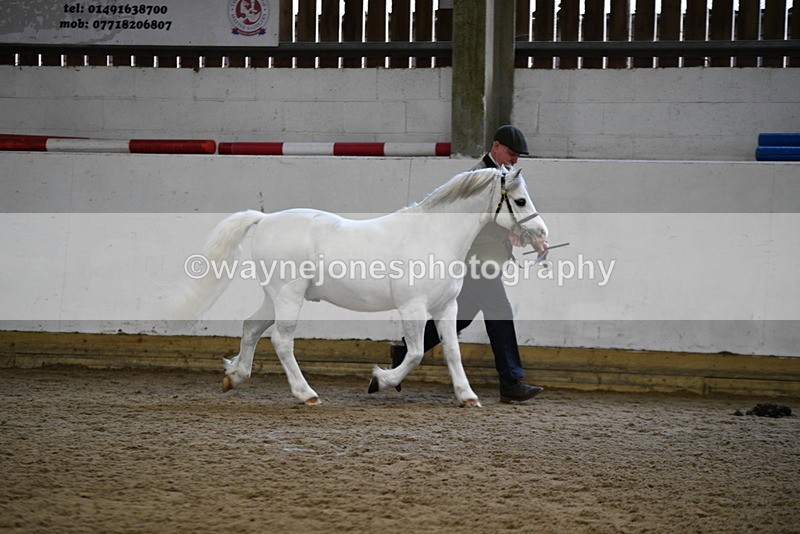 WJ5_5172 - Class 4 In hand M&M - small breeds