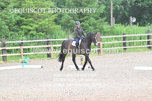 BPP_9745 - NO COMPETITOR NUMBER X 2