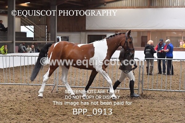 BPP_0913 - RING 2