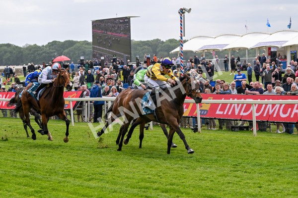 150525-American Affair-3692 - Race 1 2.10pm Lindum York Handicap