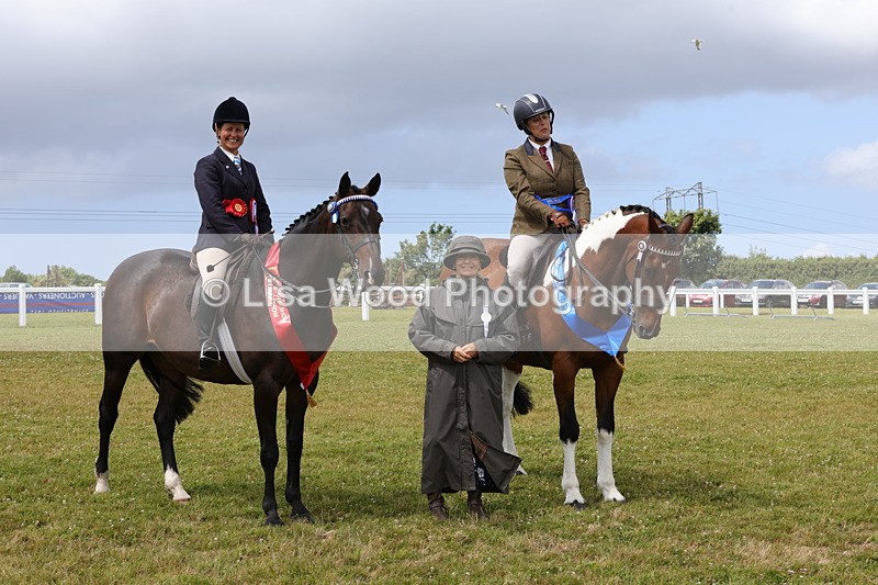 1X9A4977 - Veteran Championship