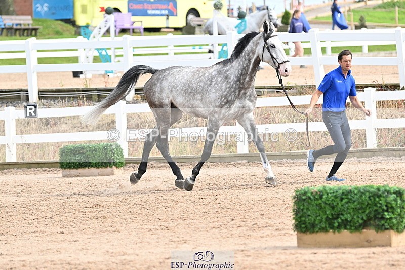 240717A-164232-03482 - Trot Up 4pm to 5pm