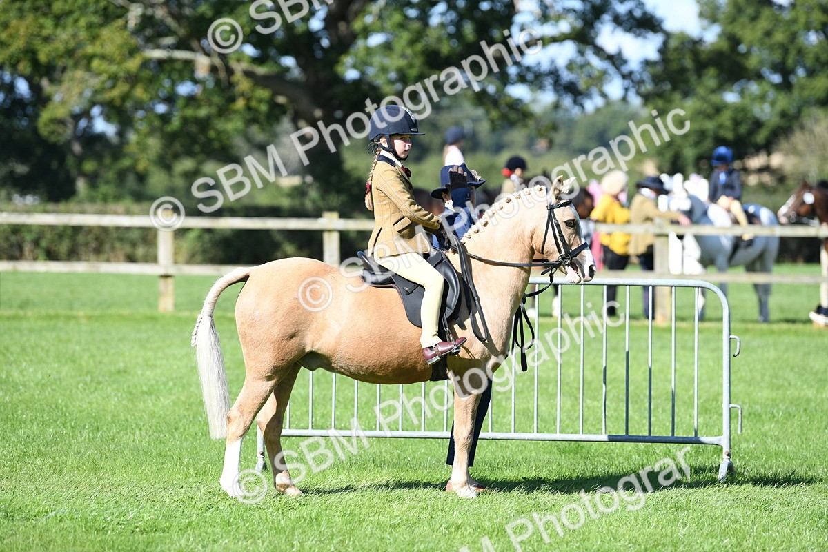 SBM_39543 - S18 - Novice & Newcomers Lead Rein Pony