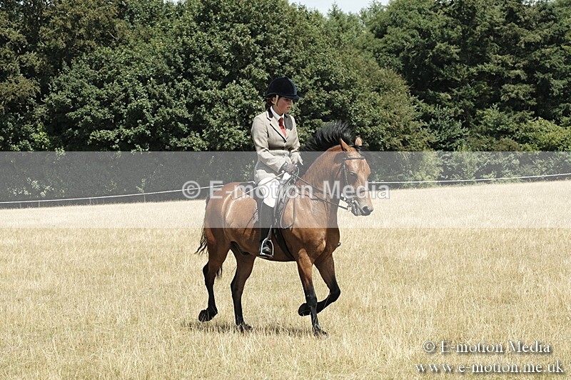 _PJP5982 - BVRC Show 2018 Ring 1