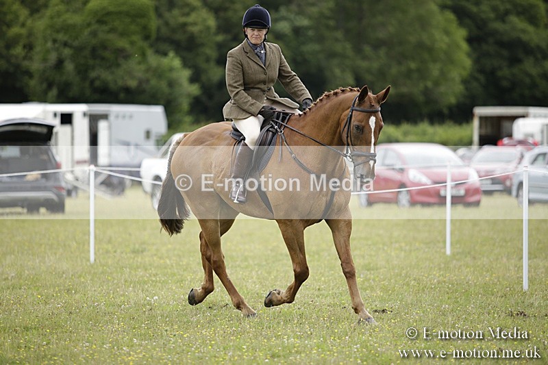 BVR160717-821 - Ring 1 BVRC Show 16/07/17