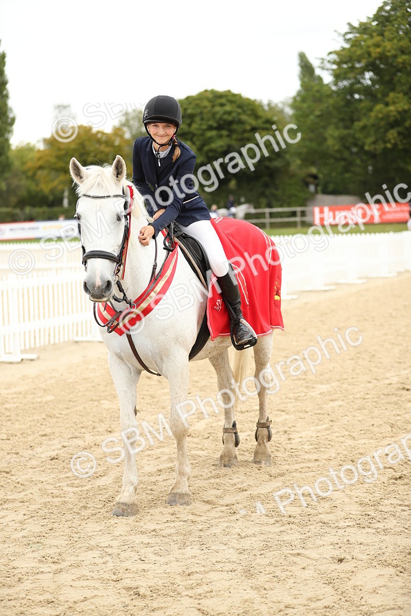 SBM_63159 - Supreme championship 75cm 80cm