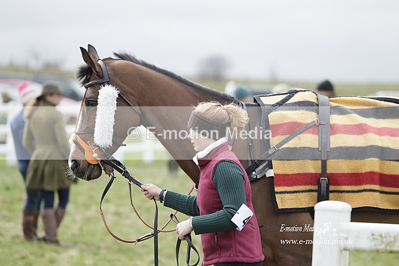 PtP 260323 0771 - New Forest Hounds Point-to-Point Larkhill 26/03/23