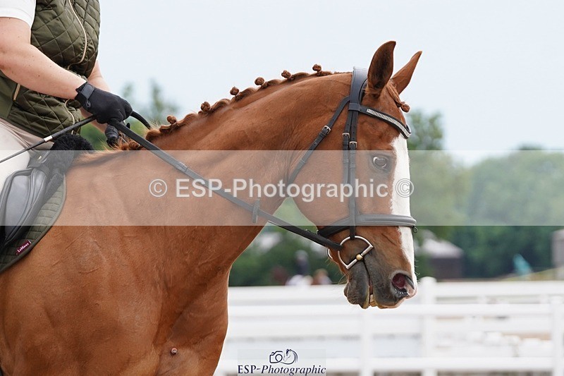 250621-103522-05691 - Quest Cls 7-11, Prelim All