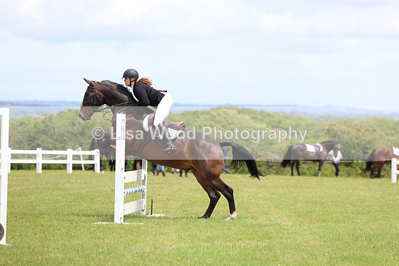 3E7A7243 - Class 13: Senior British Novice/90cm open