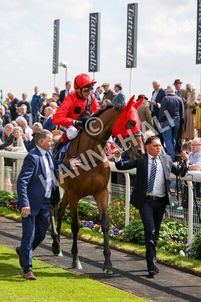 yr11052022r4-10 - Race 4 3.35pm Tattersalls Musidora Stakes
