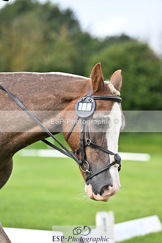 230826-111245-16894 - Sections A & B 10 to End