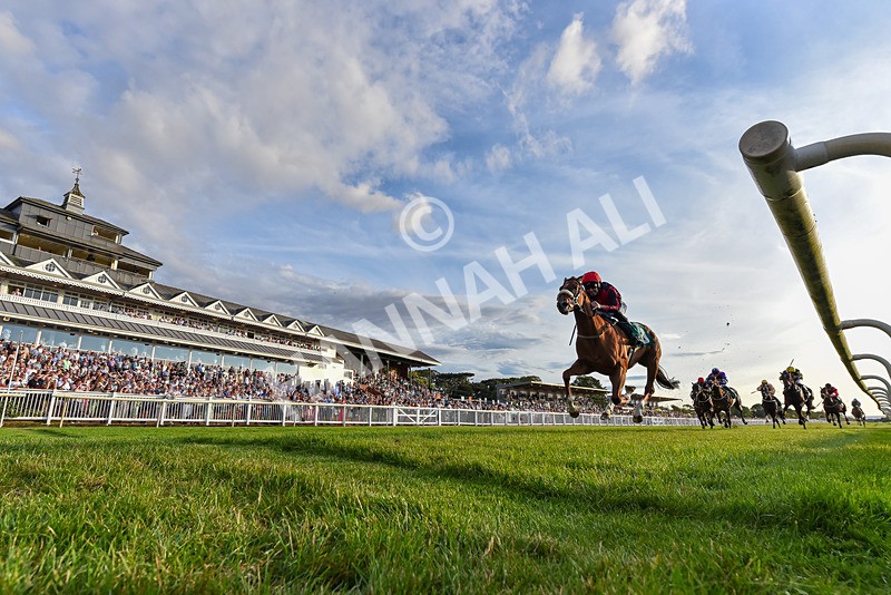 140826-Race 4-Raging Raj-5406 - Race 4 19.18pm Andrew Seaton Celebration Cup Handicap