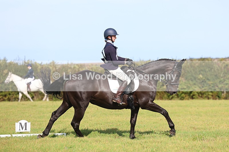 3E7A6384 - Class 2A: Trekenning Open: Dressage