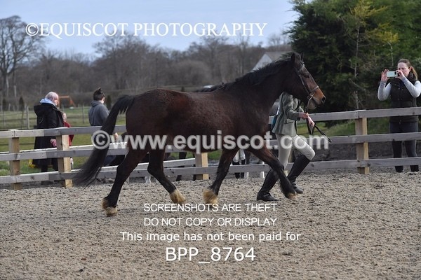 BPP_8764 - RING 2 - M&M