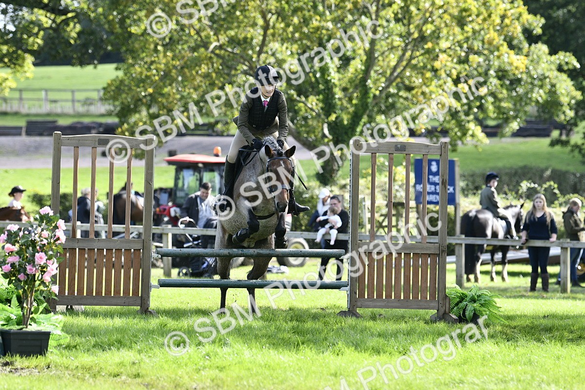 SBM_45661 - S33 - Working Hunter Pony