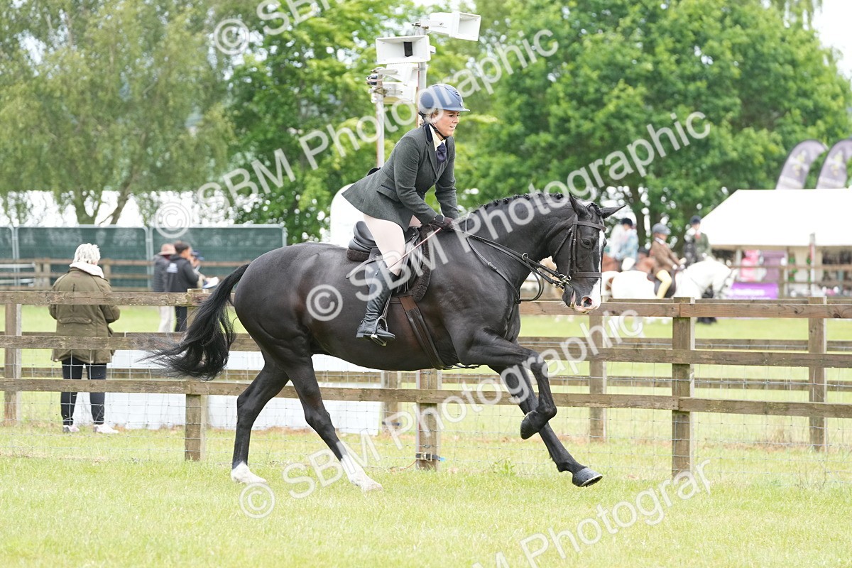 SBM_12716 - Class 97-98 - LIHS BSHA Rising Star Working Show Horse Hunter