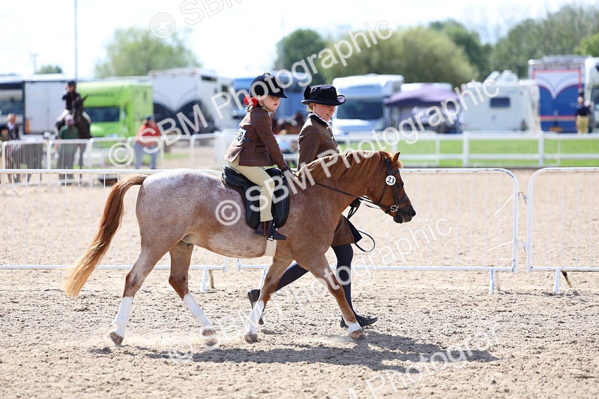SBM_13028 - Class 309 - Lead Rein Pony