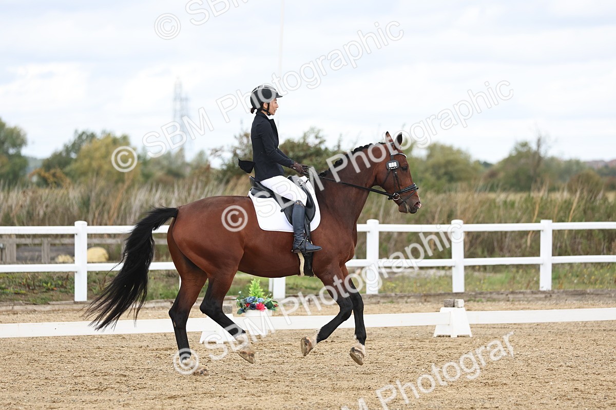 SBM_002523 - Class 7 - Novice 2 Warm Up