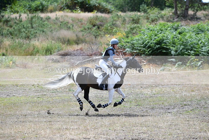 WJ5_0116 - Time 12:30 to 13:00