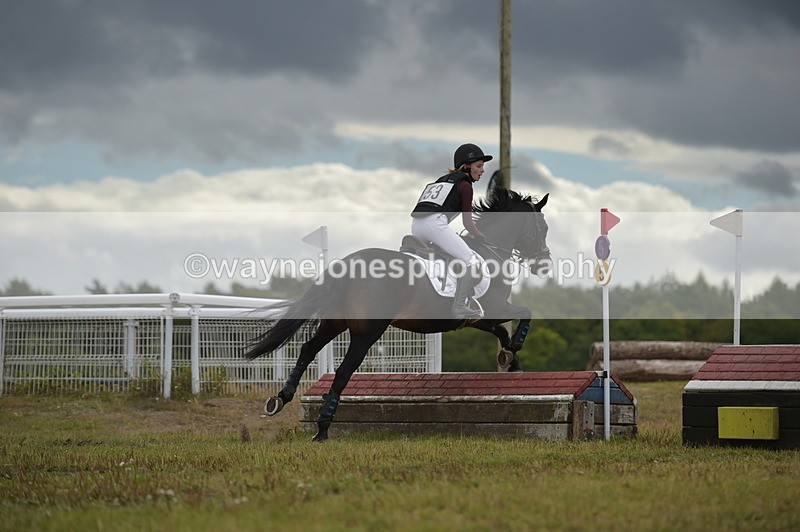 NGP_1980 - XC Time 11:20 to 11:36