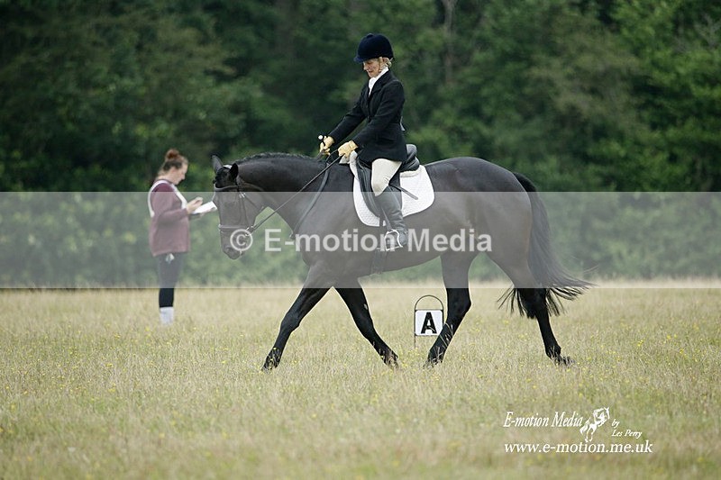 BVRC 030721 536 - Bourne Valley Riding Club Dressage 03/07/21