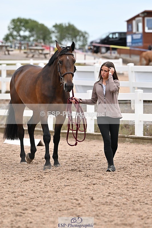 250716-160007-02324 - Trot Up 3.30 to 4.30