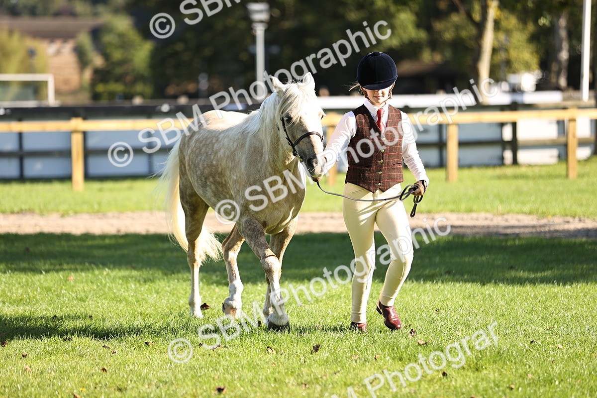 SBM_15898 - S1 - TSR in Hand Horse & Pony Showing