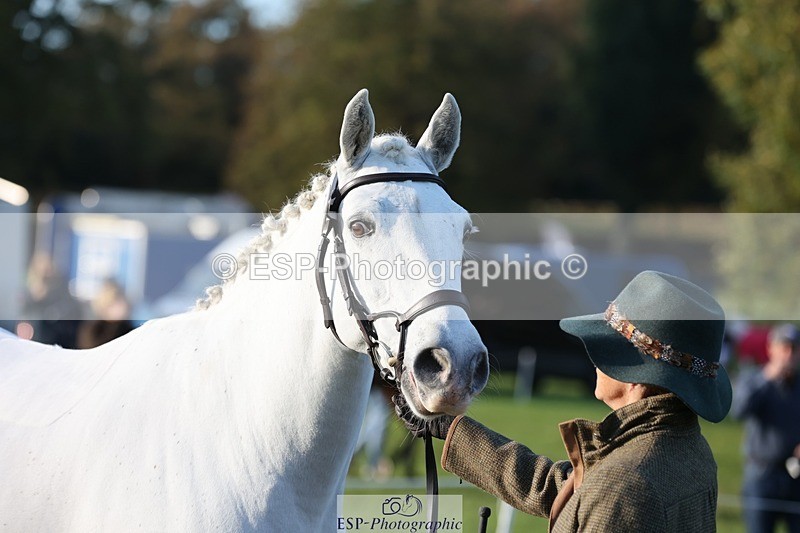 241027-092143-15234 - 385-Helen.Hickson-CEIDE.HUMPHRY