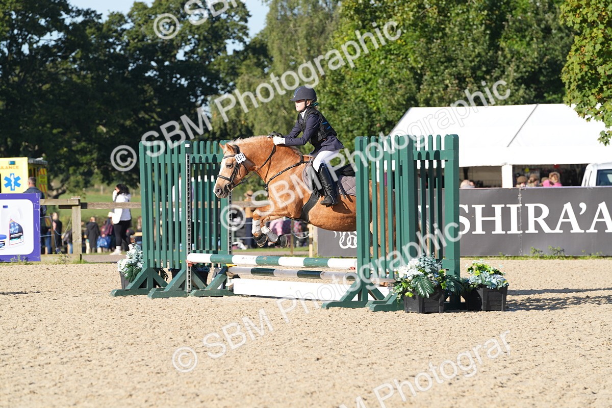 SBM_34409 - J62 - Clear Round 50cm