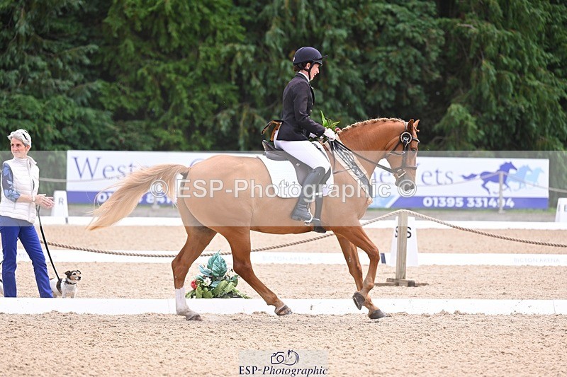 240809-131723-01052 - Preliminary Silver