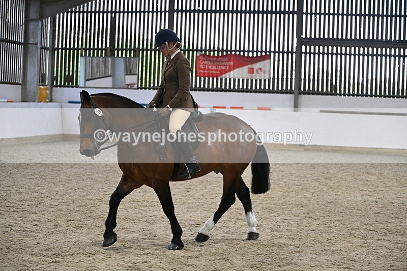 WJ7_3975 - Class 17 Ridden Cob