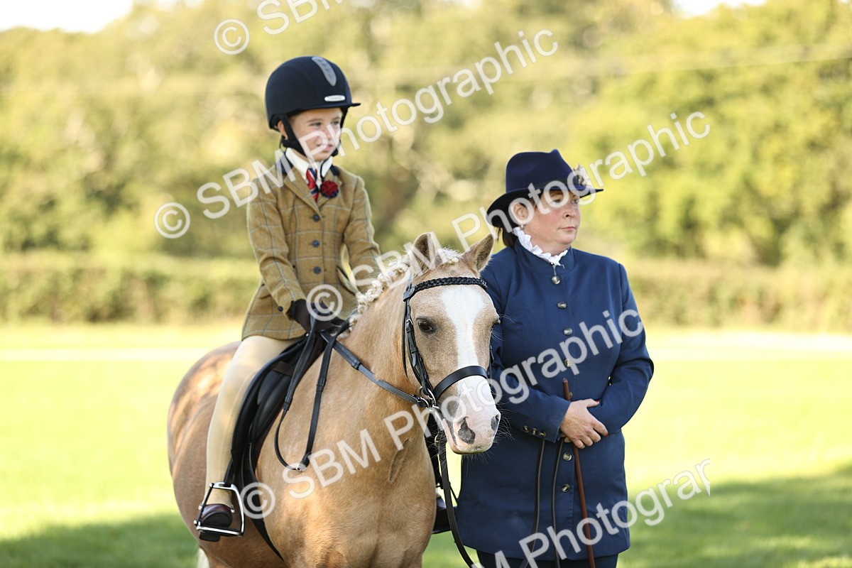 SBM_19272 - S3 - TSR Ridden Pony Showing