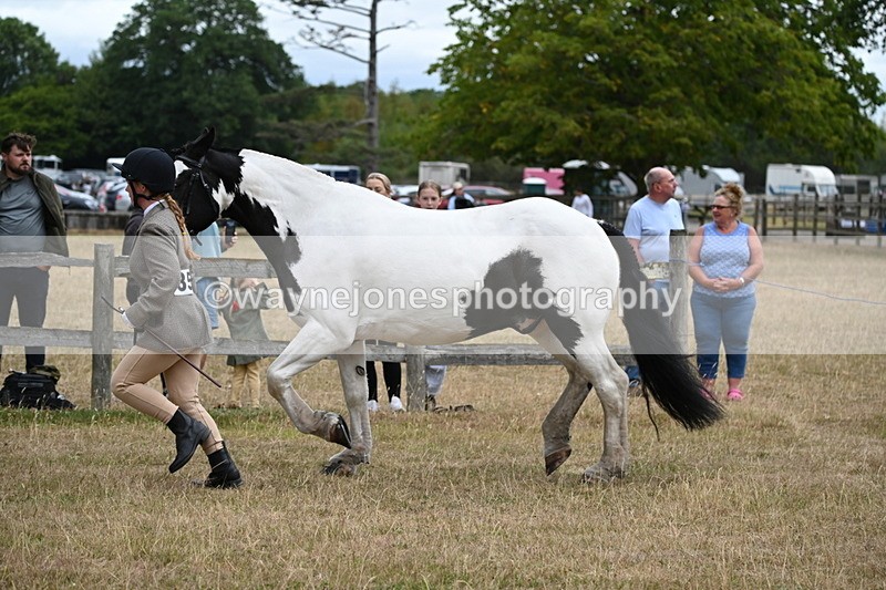 WJ6_8392 - Class 10 Coloured in Hand