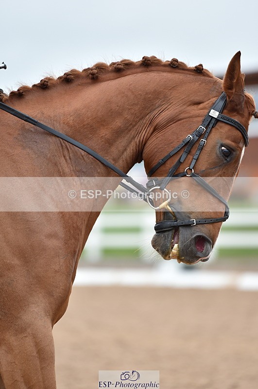 230630A-173202-03641 - Cls 4 Prelim 18