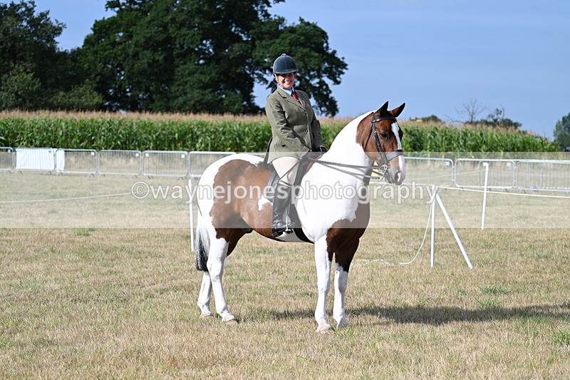 WJ7_2602 - Class 8 Ridden Tack & Turnout