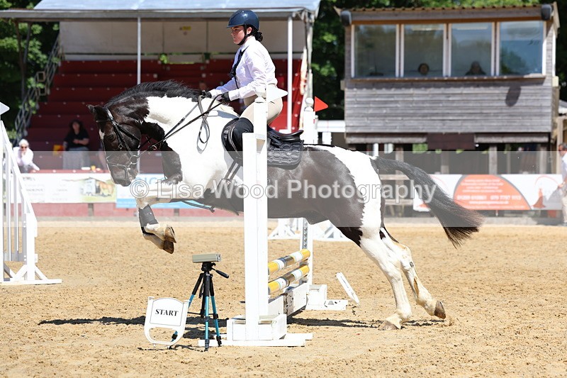 3E7A2321 - Class 4/5: 60cm Open Teams and Individuals