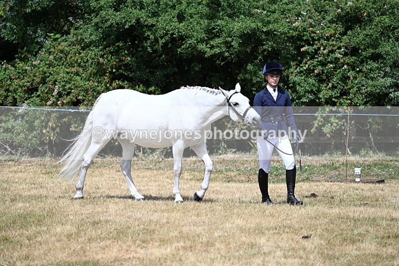 WJ7_1596 - Class 4 Prettiest Mare up to 14.2hh in hand