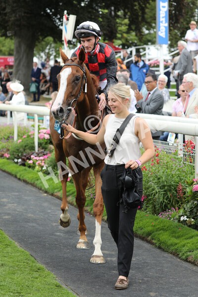 yr18082022r3-47 - Race 3 3.00pm Clipper Logistics Stakes