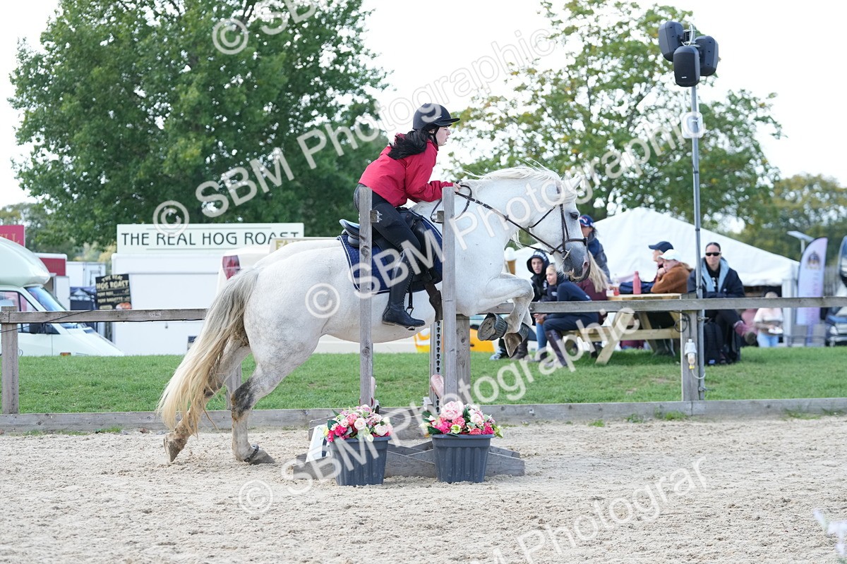 SBM_18102 - J58 - Clear Round 50cm