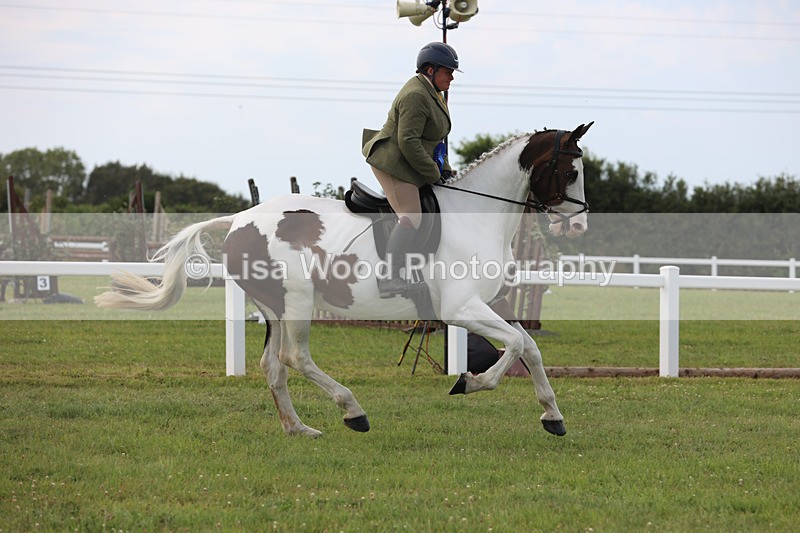 JPP_4147 - Class 24: Working Hunter 90cm