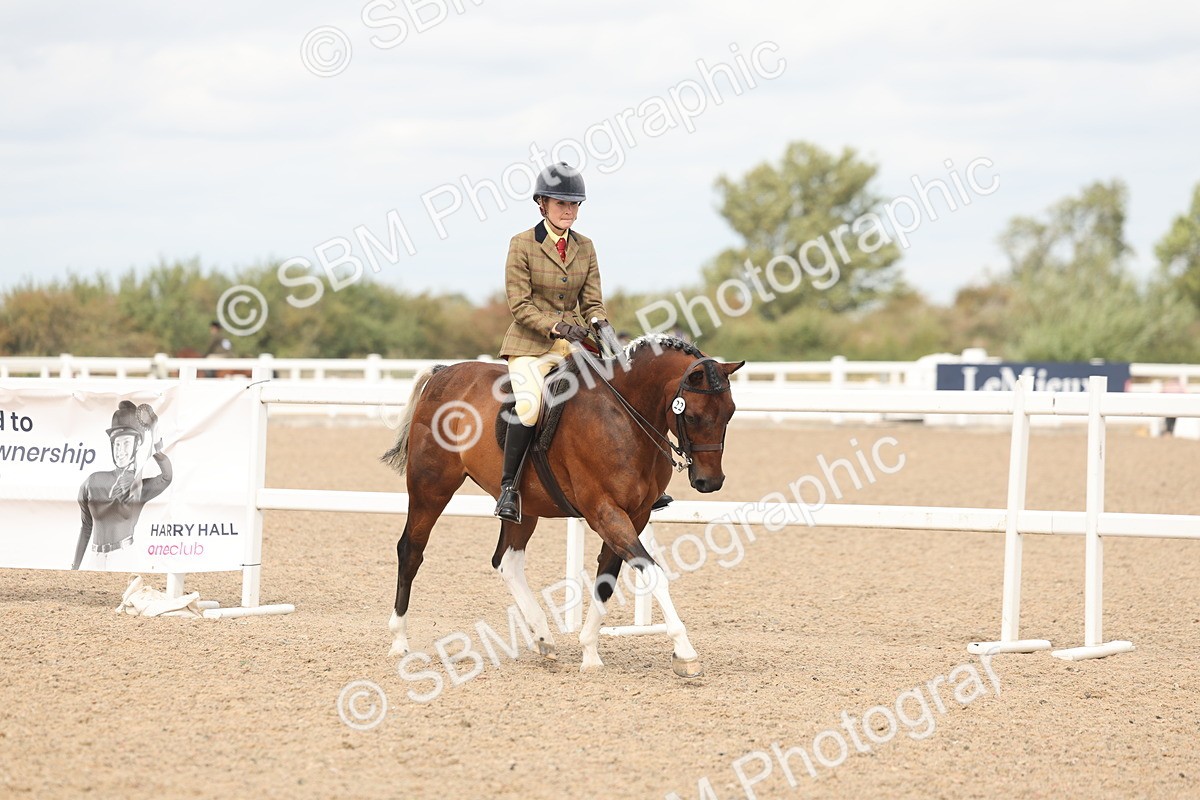SBM_15958 - Class 311 - Ridden Show pony-Show hunter Pony