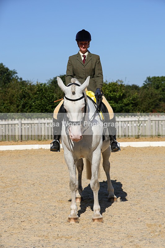 1X9A7840 - Class 9: Open Ridden Hunter