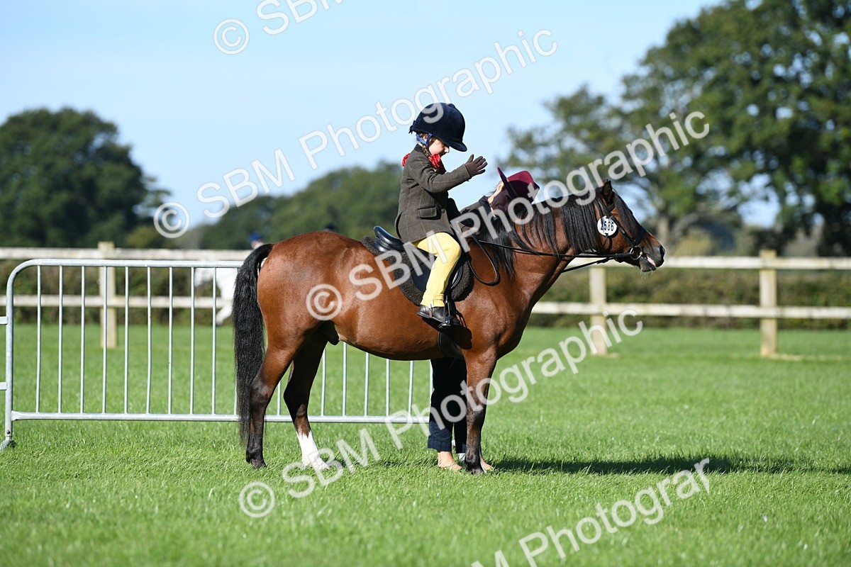 SBM_36713 - S18 - Novice & Newcomers Lead Rein Pony