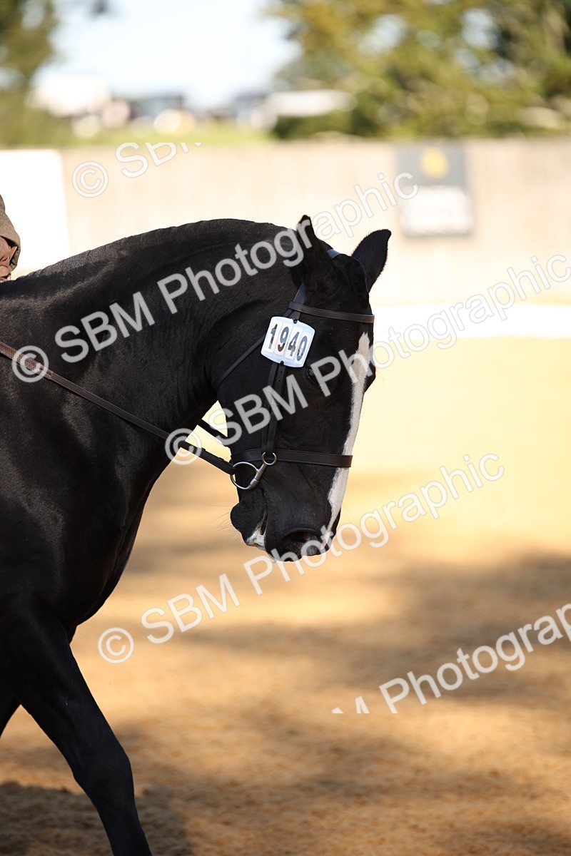 SBM_18310 - D31 - Grand Tour - PYO Open