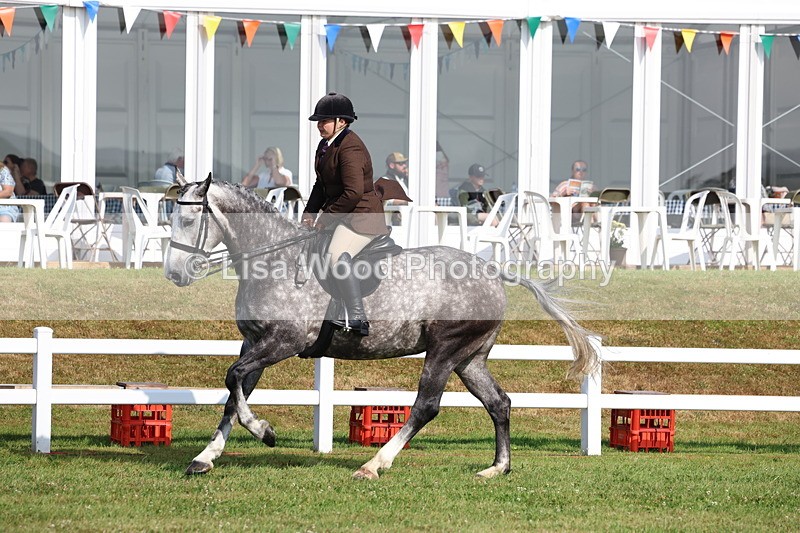 3E7A8620 - Class 3: Rising Star S/L Hunter