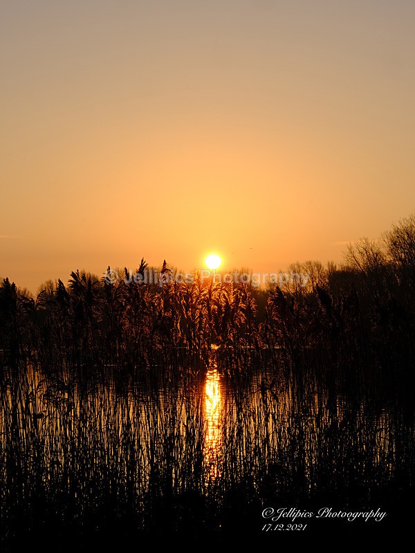  - Landscapes