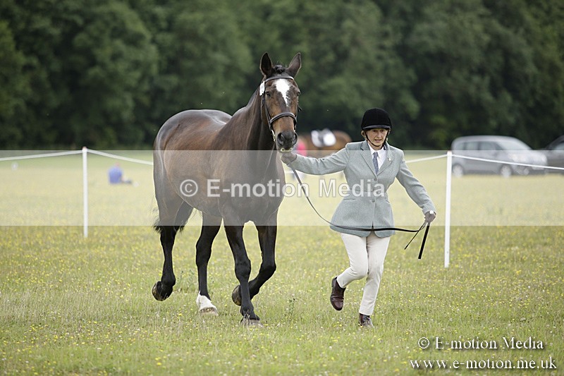 BVR160717-722 - Ring 2 BVRC Show 16/07/17