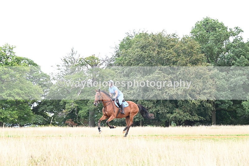 DSC_7629 - Time at Statue 13:16 to 13:52